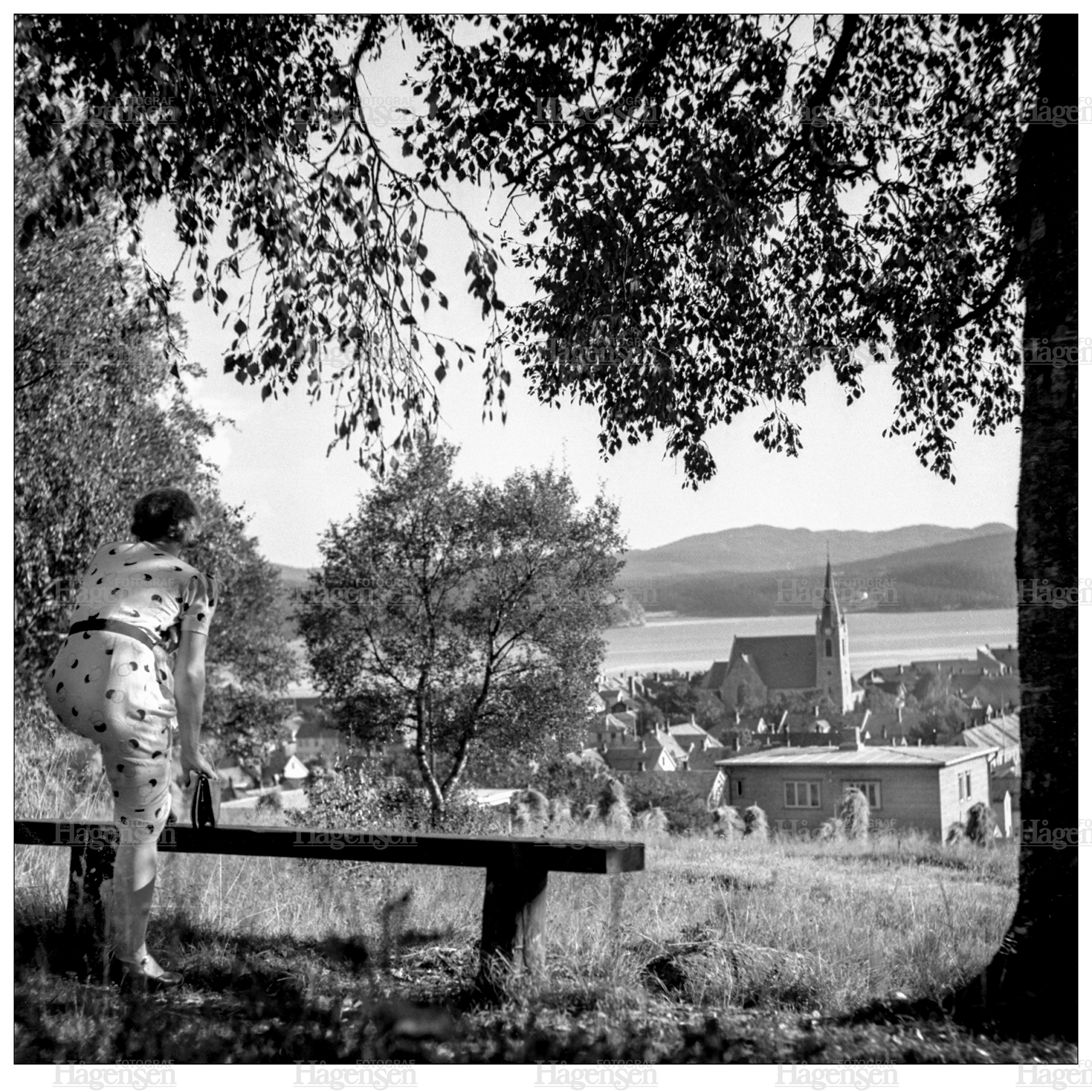 Fredriksbergparken